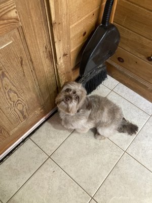 Sweet baby before and after pics - Such a good girl