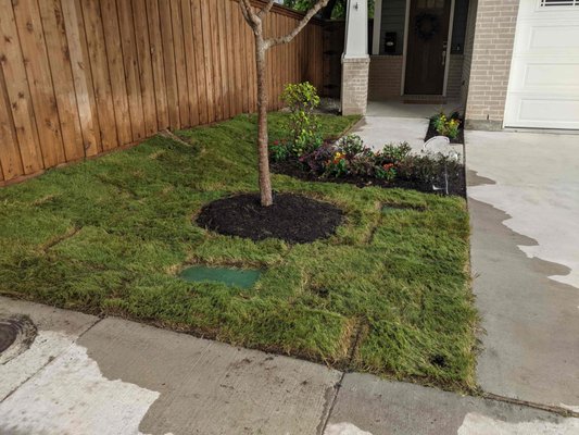 Sod Installation - Revitalizing outdoor spaces with new sod, a rich compost base, and vibrant flower beds! 🌱🌸 Transform your garden into a lush paradise. Contact us today for all your landscaping needs! 📞 Sod Installation - Revitalizing outdoor spaces with new sod, a rich compost base, and vibrant flower beds! 🌱🌸 Transform your garden into a lush paradise. Contact us today for all your landscaping needs! 📞
