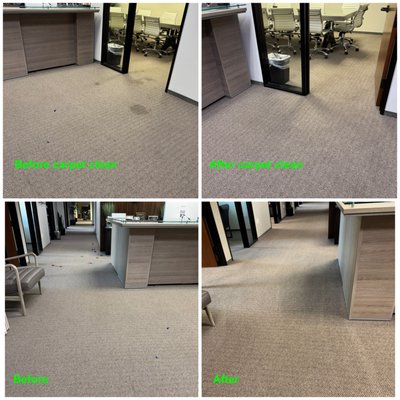 Carpet cCleaning - Carpet and stain removal for an office.