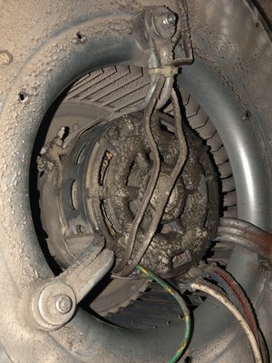 Air Ducts, furnaces and dryer vent cleaning - Experience fresh & healthier air with our professional & most comprehensive air duct cleaning services. We capture before and after photos for every job, instantly sharing them with customers to guarantee their satisfaction.