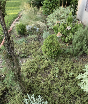 Landscaping cleanup Before & After - This landscaping job was for a client who wanted us to clean up her flowerbeds for the spring. They turned out great.
