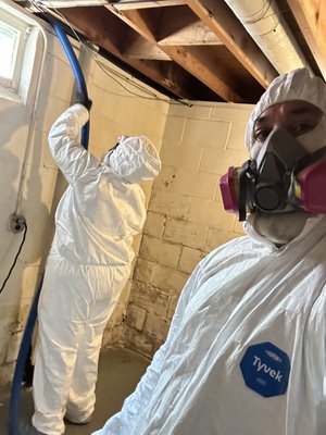 Mold mitigation / remediation 
CCF restoration LLC 
262-720-8145
24HR emergency restoration service 
 certified Firm - demolition, cleanup, microbial washing, chemical sanitizing, structural drying, sealing of cinderblocks