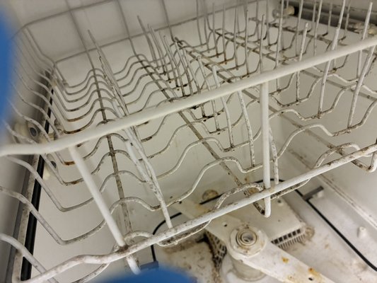 Mold removal - This was a simple cleaning job that turned into a mold removal project
