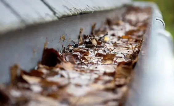 Gutter Cleaning - Protect Your Property with Clean Gutters
Clogged gutters can lead to water overflow that damages roofing, siding, landscaping, and
foundations.
A Clearer Vision Window Cleaning LLC provides professional gutter cleaning services
throughout Wichita and surrounding Kansas communities.
Our team removes debris and ensures gutters and downspouts are functioning properly to help
protect your property from water-related issues.
Our Gutter Cleaning Service Includes:
Removal of leaves and debris
Downspout flow check
Inspection for visible blockages
Clean and functional gutter system Gutter Cleaning - Protect Your Property with Clean Gutters
Clogged gutters can lead to water overflow that damages roofing, siding, landscaping, and
foundations.
A Clearer Vision Window Cleaning LLC provides professional gutter cleaning services
throughout Wichita and surrounding Kansas communities.
Our team removes debris and ensures gutters and downspouts are functioning properly to help
protect your property from water-related issues.
Our Gutter Cleaning Service Includes:
Removal of leaves and debris
Downspout flow check
Inspection for visible blockages
Clean and functional gutter system