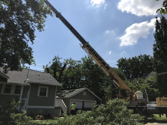 Crane Job - Tree Removal of 2 Large Silver Maple trees in Arlington, VA. 1 day Job
