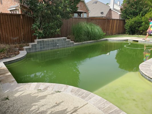 Swimming Pool - Green to Clean - We converted a deep green pool to deep blue pool successfully within a week! Swimming Pool - Green to Clean - We converted a deep green pool to deep blue pool successfully within a week!