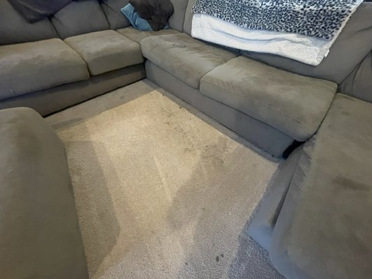 Carpet cleaning - Carpet cleaning that was done today Carpet cleaning - Carpet cleaning that was done today