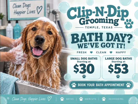 Bath Time Bliss - From muddy paws to sparkling clean! Check out our sweet pups enjoying gentle baths, soothing massages, and all the bubbles. Every dog leaves feeling fresh, happy, and loved. Bath Time Bliss - From muddy paws to sparkling clean! Check out our sweet pups enjoying gentle baths, soothing massages, and all the bubbles. Every dog leaves feeling fresh, happy, and loved.