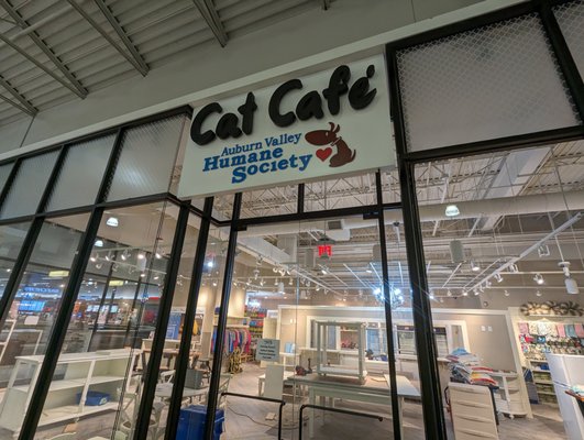 Commercial T.I.'s - This Tenant Improvement is a commercial space converted into a cat cafe. The project included lighting, HVAC, refrigeration, network, and general power needs. Go check it out at the Auburn Outlet Collection Mall! Commercial T.I.'s - This Tenant Improvement is a commercial space converted into a cat cafe. The project included lighting, HVAC, refrigeration, network, and general power needs. Go check it out at the Auburn Outlet Collection Mall!