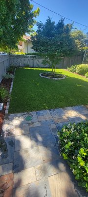 synthetic turf . - this turf was replaced from an ugly dead sod, watering 3 times a day to try to keep it green and spending money on fertilizer and our clients finally made the best decision.
