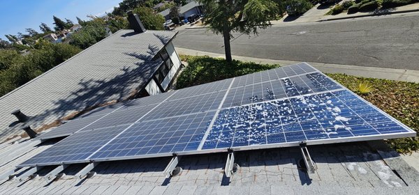 Solar Panel Cleaning - Get the most out of the sun with us! We can make them squeaky clean and sparkling!