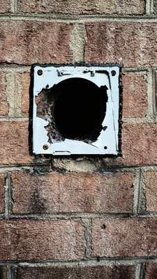 Airduct and dryer vent - Broken dryer vent outside of customers home. Vent cleaned and replaced.
Dirty airduct before and after picture Airduct and dryer vent - Broken dryer vent outside of customers home. Vent cleaned and replaced.
Dirty airduct before and after picture