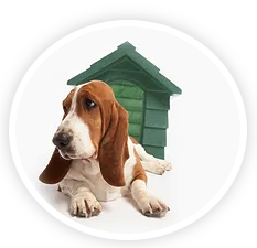 House Visits - House Visits offer a lot of flexibility to tailor services to the specific needs of your Pack Members. In addition to pet walking, you can select from our various options.
Potty Break | 20 min.| $20.00
Standard | 30 min.| $25.00
Deluxe | 40 min. | $28.50
Premium | 60 min. | $35.00
Custom | As Needed | TBD House Visits - House Visits offer a lot of flexibility to tailor services to the specific needs of your Pack Members. In addition to pet walking, you can select from our various options.
Potty Break | 20 min.| $20.00
Standard | 30 min.| $25.00
Deluxe | 40 min. | $28.50
Premium | 60 min. | $35.00
Custom | As Needed | TBD
