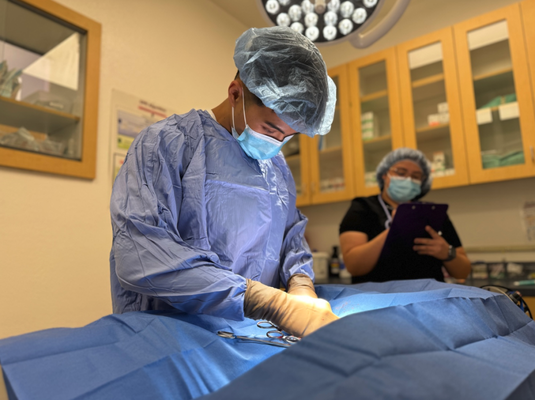 Veterinary Surgical Care - Expert Surgical Veterinarians Near Me
SoCal Pet Hospital is pleased to offer our patients the very best in surgical practice and technology. We combine the safest available anesthetic protocols with advanced equipment and monitoring for the safest surgery for your pet. We provide high quality veterinary surgical care for your dogs and cats.
Our expert veterinary surgical care center close to Murrieta, CA, can perform various types of veterinary surgical care. We start each procedure with a pre-surgical exam by one of our qualified surgical veterinarians. Our animal surgery center is equipped for surgical monitoring and ensures your pet gets love throughout their stay.
We offer the following surgical services for veterinary care:
Spay & Neuter
Elongated Soft Palate
Stenotic Nares
Cherry Eye Tuck
Entropion
Exploratory
Cesarian
Laceration Repair
Cystotomy
Mass Removal
Enucleation
Ear Hematoma Repair
Hernia Repair
Surgical Insemination
and others! Veterinary Surgical Care - Expert Surgical Veterinarians Near Me
SoCal Pet Hospital is pleased to offer our patients the very best in surgical practice and technology. We combine the safest available anesthetic protocols with advanced equipment and monitoring for the safest surgery for your pet. We provide high quality veterinary surgical care for your dogs and cats.
Our expert veterinary surgical care center close to Murrieta, CA, can perform various types of veterinary surgical care. We start each procedure with a pre-surgical exam by one of our qualified surgical veterinarians. Our animal surgery center is equipped for surgical monitoring and ensures your pet gets love throughout their stay.
We offer the following surgical services for veterinary care:
Spay & Neuter
Elongated Soft Palate
Stenotic Nares
Cherry Eye Tuck
Entropion
Exploratory
Cesarian
Laceration Repair
Cystotomy
Mass Removal
Enucleation
Ear Hematoma Repair
Hernia Repair
Surgical Insemination
and others!