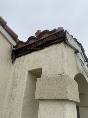 Termite and dry rot wood repairs - This customer had dry, rot and termite damage on the facia and facia trim First, we need to remove the tiles to get to the boards, then remove all the damage boards to replace with new. It is very important to make sure you seal everything before closing it up. Termite and dry rot wood repairs - This customer had dry, rot and termite damage on the facia and facia trim First, we need to remove the tiles to get to the boards, then remove all the damage boards to replace with new. It is very important to make sure you seal everything before closing it up.