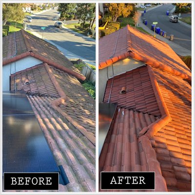 Roof Wash - When it comes to roof cleaning, there is no better or safer way than having it professionally done. Not only does a clean roof increase the curb appeal of your home and add to the value of your property, but in some Homeowners Association (HOA) a dirty roof can even result in fines.
Roof cleaning not only improves the appearance of your property, but also helps keep your family safe by removing algae, soot and other contaminants from your roof tiles. Vent contamination is a real concern, and keeping your roof clean will improve the air quality inside your home.
Moreover, keeping the exterior of your home clean can also increase the longevity of both the paint and roof tiles as cleaner water run-off during rainy seasons will not cause them to deteriorate as quickly.
At Pacific Pressure Washing, we offer professional roof cleaning services that are designed to meet all of your needs. We understand that every roof is different and requires a unique approach. We have the necessary equipment and supplies to handle even the toughest job. There’s no need to take any unnecessary risks when our team is here to handle all of your roof cleaning needs safely and efficiently. Roof Wash - When it comes to roof cleaning, there is no better or safer way than having it professionally done. Not only does a clean roof increase the curb appeal of your home and add to the value of your property, but in some Homeowners Association (HOA) a dirty roof can even result in fines.
Roof cleaning not only improves the appearance of your property, but also helps keep your family safe by removing algae, soot and other contaminants from your roof tiles. Vent contamination is a real concern, and keeping your roof clean will improve the air quality inside your home.
Moreover, keeping the exterior of your home clean can also increase the longevity of both the paint and roof tiles as cleaner water run-off during rainy seasons will not cause them to deteriorate as quickly.
At Pacific Pressure Washing, we offer professional roof cleaning services that are designed to meet all of your needs. We understand that every roof is different and requires a unique approach. We have the necessary equipment and supplies to handle even the toughest job. There’s no need to take any unnecessary risks when our team is here to handle all of your roof cleaning needs safely and efficiently.