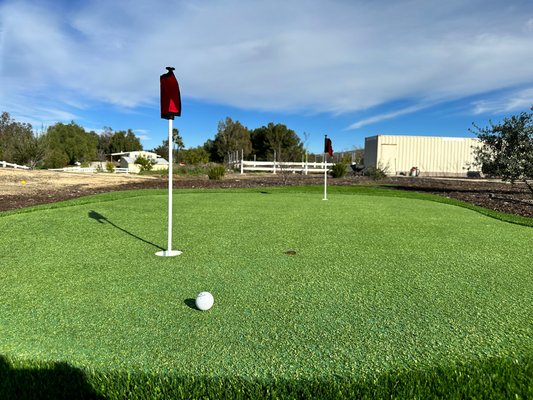Putting Green Turf - Designing your ideal backyard putting green involves taking into account various factors, such as: available space, and desired difficulty level. Your putting green should be designed to meet your needs and preferences, to ensure a fun and challenging golf experience for you and your family. It should also be built with adjustable elements to change up your practice. You won’t get bored with a ProLawn Turf putting green. Our team will make sure your new practice space is built to last and keep you challenged. We will help you choose from various hole layouts, incorporate slopes and other landscaping elements, and even select the type of turf that best suits your needs. Putting Green Turf - Designing your ideal backyard putting green involves taking into account various factors, such as: available space, and desired difficulty level. Your putting green should be designed to meet your needs and preferences, to ensure a fun and challenging golf experience for you and your family. It should also be built with adjustable elements to change up your practice. You won’t get bored with a ProLawn Turf putting green. Our team will make sure your new practice space is built to last and keep you challenged. We will help you choose from various hole layouts, incorporate slopes and other landscaping elements, and even select the type of turf that best suits your needs.