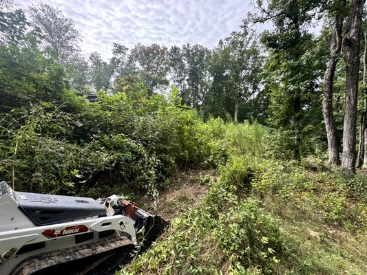 Brush Clearing - Looking for a clear, usable space on your property? We cleared out dense brush and thick growth using machinery, then rough-graded the slope along the fence to leave a clean, smooth base ready for sod, grass seed, or future landscaping.
If your yard is overgrown or needs site prep, give us a call or send a message for a free estimate! Brush Clearing - Looking for a clear, usable space on your property? We cleared out dense brush and thick growth using machinery, then rough-graded the slope along the fence to leave a clean, smooth base ready for sod, grass seed, or future landscaping.
If your yard is overgrown or needs site prep, give us a call or send a message for a free estimate!