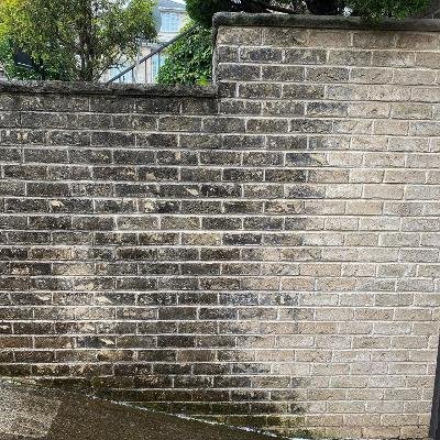 Brick Wall - This brick wall wasn't cleaned for years and as you can see, the black mold completely took over. with the right chemical blend and the perfect amount of pressure, we were able to give these bricks a complete makeover! Brick Wall - This brick wall wasn't cleaned for years and as you can see, the black mold completely took over. with the right chemical blend and the perfect amount of pressure, we were able to give these bricks a complete makeover!