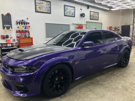 Window Tint Projects - Variation of Projects!!
