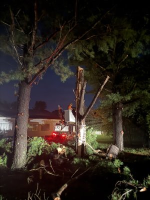 A tree we safely removed in the middle of the night in edmore to keep it from falling onto the client’s beautiful home - The tree came down great great !! We returned the very next morning to remove all the debris