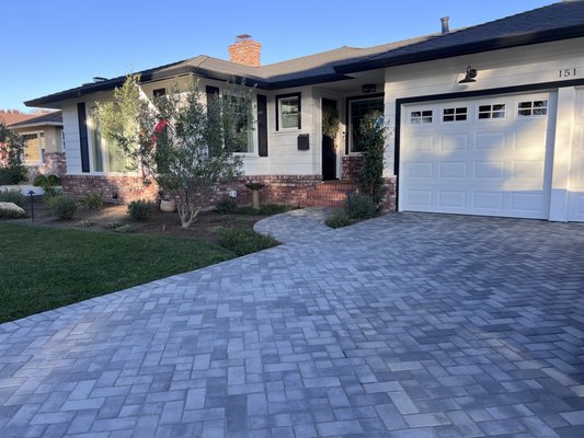 Grove Street Project 2024 - A new landscape plan was designed for this client. They asked for a paved driveway and walkway. We removed all plants, and replaced with drought tolerant plants and trees. Grove Street Project 2024 - A new landscape plan was designed for this client. They asked for a paved driveway and walkway. We removed all plants, and replaced with drought tolerant plants and trees.