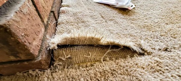 Carpet & Area Rug Repair - Carpets and rugs are an integral part of home and office decor, adding warmth, comfort, and style to any space. However, over time, these valuable furnishings can experience wear and tear, suffer damage from spills, pets, or accidents, and show signs of aging. While cleaning helps restore their appearance, sometimes deeper intervention is necessary to maintain or return carpets and rugs to their original state. This is where carpet and rug repair come into play.
Carpet and rug repair not only enhances the visual appeal of your flooring but also helps extend the lifespan of your investments. Whether you have a family heirloom or a high-quality modern rug, understanding the different types of damage and repair methods can help you preserve and restore your carpets and rugs effectively. Carpet & Area Rug Repair - Carpets and rugs are an integral part of home and office decor, adding warmth, comfort, and style to any space. However, over time, these valuable furnishings can experience wear and tear, suffer damage from spills, pets, or accidents, and show signs of aging. While cleaning helps restore their appearance, sometimes deeper intervention is necessary to maintain or return carpets and rugs to their original state. This is where carpet and rug repair come into play.
Carpet and rug repair not only enhances the visual appeal of your flooring but also helps extend the lifespan of your investments. Whether you have a family heirloom or a high-quality modern rug, understanding the different types of damage and repair methods can help you preserve and restore your carpets and rugs effectively.