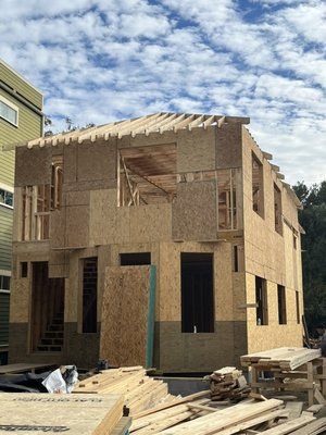 23 Maple st (Framing) - Bringing back to live care