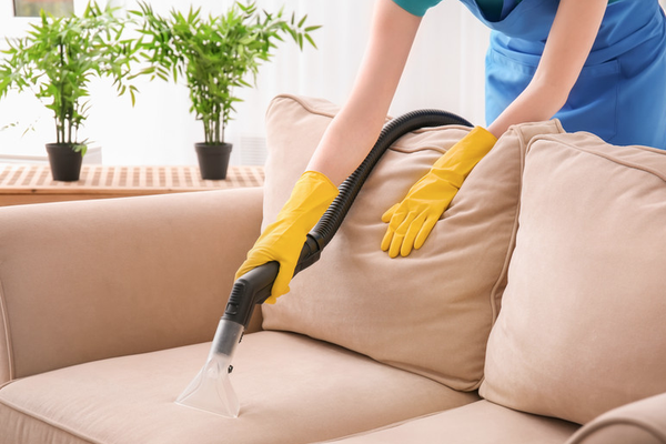 Furniture Cleaning - Furniture Cleaning Furniture Cleaning - Furniture Cleaning