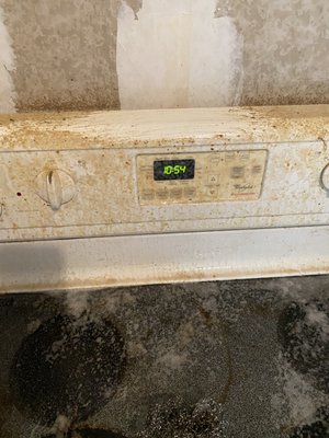 Oven cleaning & carpet cleaning - Client requested a deep cleaning all of oven after sitting for two months. The oven was sanitized in degreased.