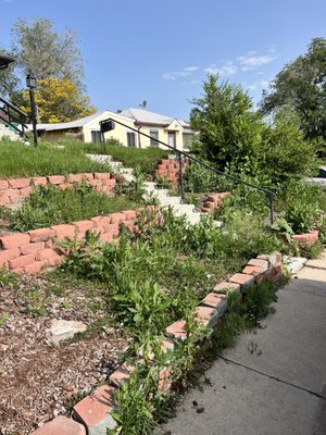 Say Goodbye to Weeds – Fast, Clean, Reliable! - Good morning! We wanted to share a satisfying project we completed this week for a homeowner in Denver. Their front yard had become overrun with weeds, making it difficult to see the true potential of the space. Today we stepped in to clean things up—removing the weeds, redefining the landscape, and bringing the yard back to life.
It’s amazing what a difference a few hours of focused work can make! This job was a great example of how even a simple cleanup can completely transform a property’s curb appeal. The turnaround was noticeable, and most importantly, our client was thrilled with the results.
If your yard is starting to feel a bit wild, or you’ve got outdoor projects you've been meaning to get to, we’d love to help. Whether it's cleanup, design, rock or mulch installation—or just some advice—we’re local, responsive, and ready to make your space shine. Say Goodbye to Weeds – Fast, Clean, Reliable! - Good morning! We wanted to share a satisfying project we completed this week for a homeowner in Denver. Their front yard had become overrun with weeds, making it difficult to see the true potential of the space. Today we stepped in to clean things up—removing the weeds, redefining the landscape, and bringing the yard back to life.
It’s amazing what a difference a few hours of focused work can make! This job was a great example of how even a simple cleanup can completely transform a property’s curb appeal. The turnaround was noticeable, and most importantly, our client was thrilled with the results.
If your yard is starting to feel a bit wild, or you’ve got outdoor projects you've been meaning to get to, we’d love to help. Whether it's cleanup, design, rock or mulch installation—or just some advice—we’re local, responsive, and ready to make your space shine.