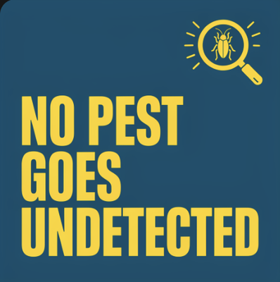 Mosquito control | Minneapolis, MN | June, 2024 - Minneapolis, MN: Professional Mosquito Control Service by Kenwood Pest Control Mosquito control | Minneapolis, MN | June, 2024 - Minneapolis, MN: Professional Mosquito Control Service by Kenwood Pest Control