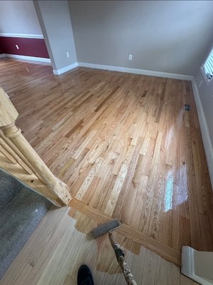 Flooring - Weekly Spotlight ✨ Flooring Edition
This week we’re highlighting some of our recent flooring projects—bringing new life to homes with clean
