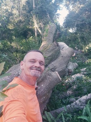 tree removal 2021 - we removed this tree during a land clearing project