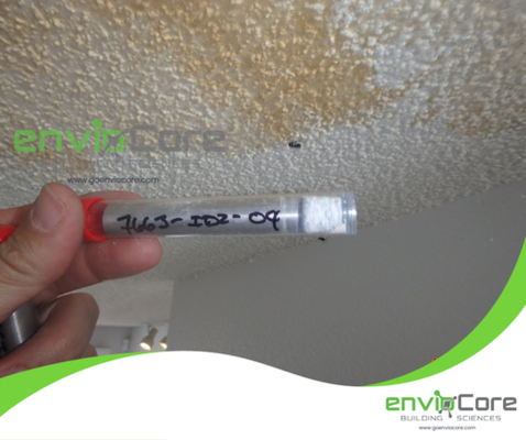 Swab mold testing - Did swab mold testing in Centennial CO early 2016 Swab mold testing - Did swab mold testing in Centennial CO early 2016