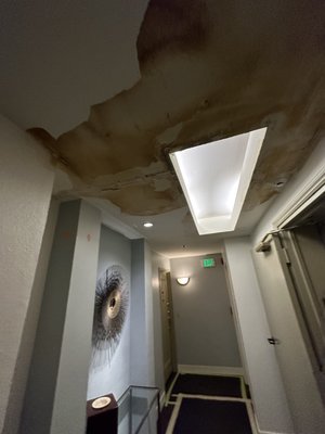 Commercial Condominium Building Water Damage Mitigation - This behemoth of a project included professional emergency water damage mitigation across four floors - common hallways and 19 affected units (out of 140 units in the property); this project offered multiple complications and complexities, including but not limited to: parking, hauling of trash across 250ft to reach dumpster, cooperating with mgmt co & maint. team, interacting and coordinating with tenants, constant cleaning, working in segments and stages in order to intrude unaffected units as much as possible, prepping and re-prepping almost every day, demoing thru multiple layers of affected drywall and insulation (sometimes up to 4 layers), around very delicate areas such as elevators. Attached  some photos from the common hallways for you to get an idea; the affected units were almost all mirrored with same layout, while in almost every affected unit the main dwelling areas were damaged including kitchens, & bathrooms.
