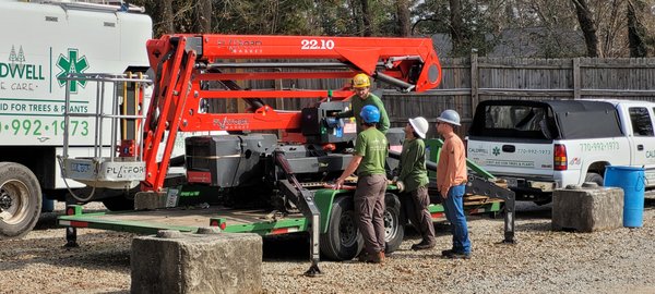 On The Job - We handle tree removals, pruning, fertilization, disease treatment, tree and plant health care, and more.