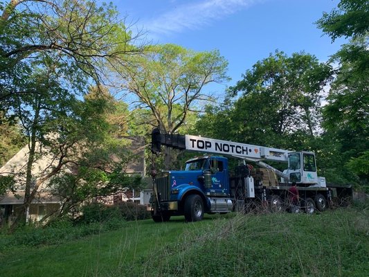 Tree Trimming & Removal - We perform all phase of tree work and land clearing Tree Trimming & Removal - We perform all phase of tree work and land clearing