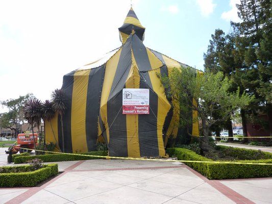 Termite Fumigation - Fumigation of an entire structure is the only termite treatment that can ensure 100 percent elimination of drywood termites. Any building with wood in the structure is susceptible to infestation.

A treatment with Vikane® gas fumigant penetrates all air spaces inside the structure, including inside the infested wood. It’s why structural fumigation is the only proven way to get 100 percent drywood termite elimination.