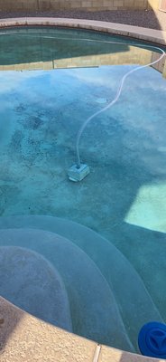 Newly Purchased Home Pool Cleaning - Like many newly purchased homes, this pool had been sitting for a while. See the difference basic maintenance processes make.