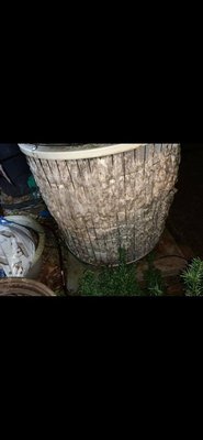 Outdoor Coil Cleaning - When you purchase a Premium Package Air Duct Cleaning Service, the services includes cleaning of your indoor and outdoor coils. Most people do not realize that in Ofer for an Air Duct Cleaning to be efficient parts of your HVAC system must also be cleaned along with the air ducts. When air is circulated throughout your home if your air ducts are clean but the coils are not when the air passes through the entire system it can re-contaminate the air and duct system. Clean Air Inc. Not only offers these services with your package but you will not find another company that can offer them at our price. Call today to schedule your Premium Package Air Duct Service! Outdoor Coil Cleaning - When you purchase a Premium Package Air Duct Cleaning Service, the services includes cleaning of your indoor and outdoor coils. Most people do not realize that in Ofer for an Air Duct Cleaning to be efficient parts of your HVAC system must also be cleaned along with the air ducts. When air is circulated throughout your home if your air ducts are clean but the coils are not when the air passes through the entire system it can re-contaminate the air and duct system. Clean Air Inc. Not only offers these services with your package but you will not find another company that can offer them at our price. Call today to schedule your Premium Package Air Duct Service!