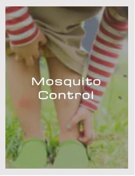 Mosquito Treatment - Protect your family by calling the pest control experts at BUGCO® Pest Control. They’ll inspect your property and design an effective, reasonably-priced mosquito control strategy tailored for you.