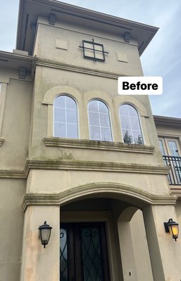 exterior cleaning and algae removal - this house was covered with algae, mold and we cleaned and before and after looked very different. exterior cleaning and algae removal - this house was covered with algae, mold and we cleaned and before and after looked very different.