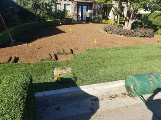 this proyect was removing old grass for a new one - quedo hermoso trabajo this proyect was removing old grass for a new one - quedo hermoso trabajo
