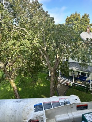 45Ft TREE Removal - Give us a call we Do free estimates.
Or you can text us on the app with you’re address & cellphone number. So we can reach you. 45Ft TREE Removal - Give us a call we Do free estimates.
Or you can text us on the app with you’re address & cellphone number. So we can reach you.
