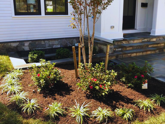 Landscape in Washington DC - This landscape project combines sodding, a walkway, steps, and stamped concrete to create a cohesive and inviting outdoor space. Each element is designed to enhance the property's functionality and aesthetic appeal, providing a beautiful and practical environment for relaxation and enjoyment.