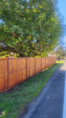 Fences & Decks - We stain and paint Decks and Fences with the best NW weather resistant products available. Special attention to wash and prep details. Fences & Decks - We stain and paint Decks and Fences with the best NW weather resistant products available. Special attention to wash and prep details.