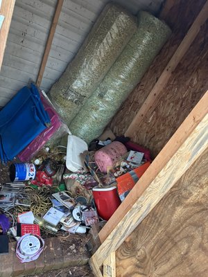 Shed clean out | Garner,NC - This was a shed clean out in Garner, NC where the customer was ready to reclaim her space and make it usable again. Shed clean out | Garner,NC - This was a shed clean out in Garner, NC where the customer was ready to reclaim her space and make it usable again.