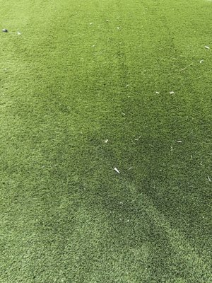 Rejuvenating your turf! - Deep cleaned and sanitized the customer’s artificial turf, including debris removal, power brushing, odor elimination, and a full pet-safe enzyme treatment. Restored the turf’s color, eliminated odors, and re-fluffed the fibers so the yard looks and smells fresh again. Rejuvenating your turf! - Deep cleaned and sanitized the customer’s artificial turf, including debris removal, power brushing, odor elimination, and a full pet-safe enzyme treatment. Restored the turf’s color, eliminated odors, and re-fluffed the fibers so the yard looks and smells fresh again.