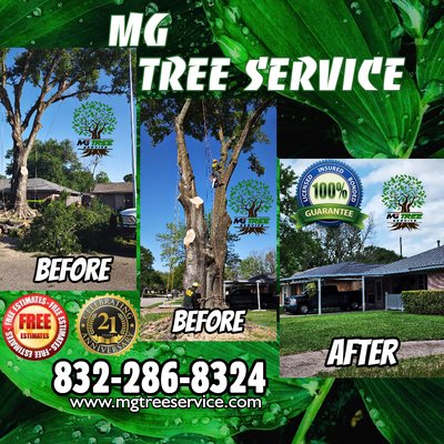 For all your tree care services. Mg tree service is just one call away. - Expert crews, local, professional, insured, and bonded. For all your tree care services. Mg tree service is just one call away. - Expert crews, local, professional, insured, and bonded.